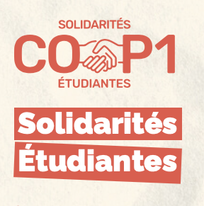 Course solidaire organisée par le lycée Duplessis Mornay