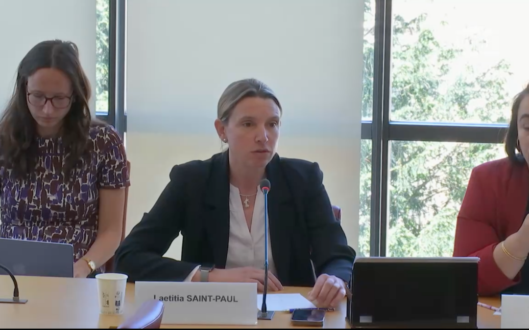 Intervention à la Commission des Affaires étrangères concernant la convention sur la sécurité et la santé des travailleurs