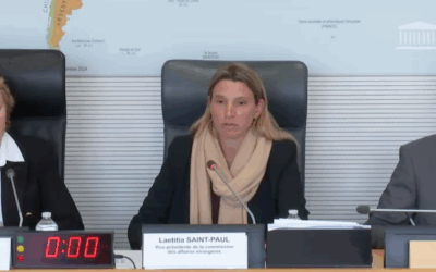 Commission des Affaires étrangères : sécurité cyber