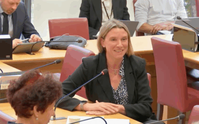 Commission spéciale de l’Assemblée nationale consacrée au renforcement de la Cybersécurité