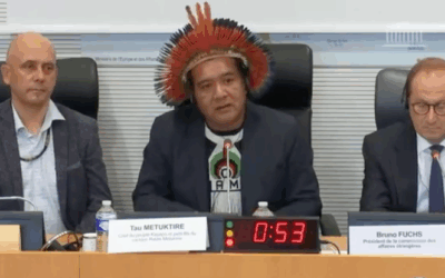Commission des Affaires étrangère de l’Assemblée nationale : audition du cacique Tau Metuktire