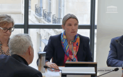 Commission des Affaires étrangère de l’Assemblée nationale : défis posés par le nouvel environnement numérique et technologique aux démocraties occidentales