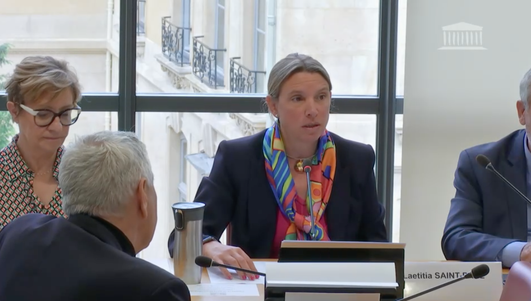Commission des Affaires étrangère de l’Assemblée nationale : défis posés par le nouvel environnement numérique et technologique aux démocraties occidentales
