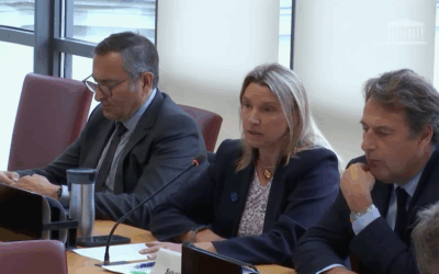 Commission des Affaires étrangères : Audition de M. Pierre Heilbronn, envoyé spécial du président de la République française pour l’aide et la reconstruction de l’Ukraine