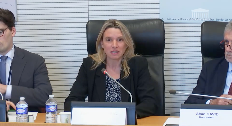 COMMISSION DES AFFAIRES ÉTRANGÈRES : RAPPORT D’INFORMATION SUR L’IRRUPTION DE L’INTELLIGENCE ARTIFICIELLE DANS LES INGÉRENCES ÉTRANGÈRES