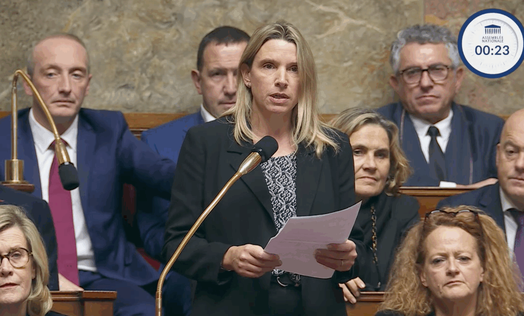 Assemblée nationale : question au gouvernement