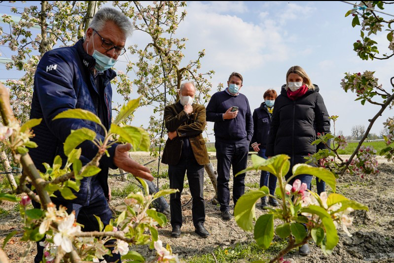 Vague de gel : une épreuve pour nos viticulteurs et arboriculteurs