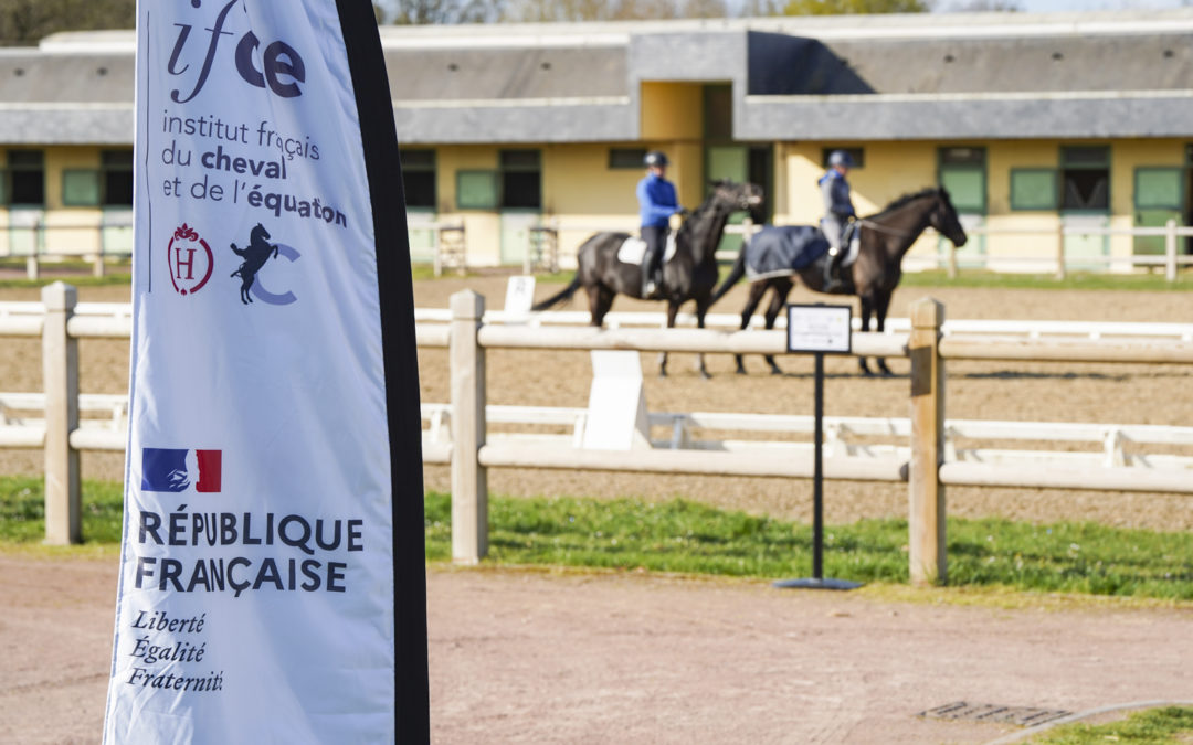 Colloque « Le cheval, un atout dans le monde d’après en France et en Europe », à l’IFCE