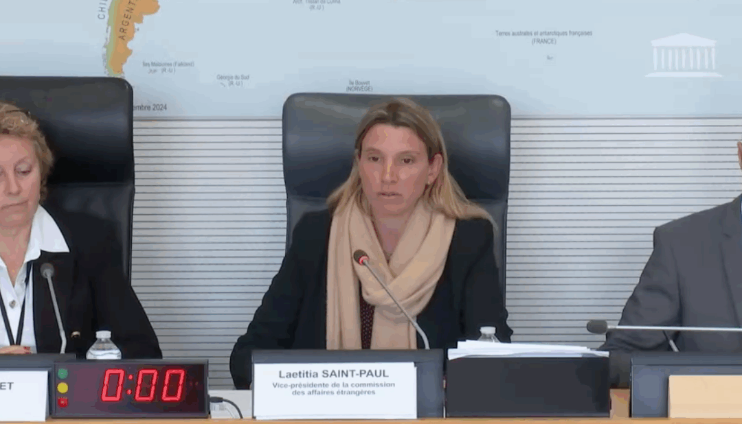 Commission des Affaires étrangères : sécurité cyber