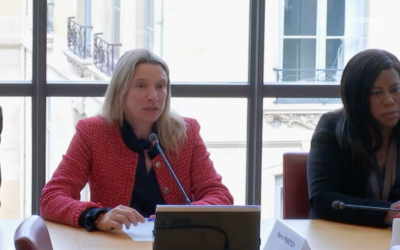 Commission des Affaires étrangères : examen du projet de loi autorisant l’approbation de la convention entre la France et Chypre