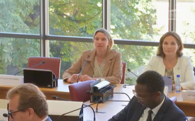 Commission des Affaires étrangères : audition de M. Christophe Lecourtier, directeur général de l’Agence française de développement (AFD)