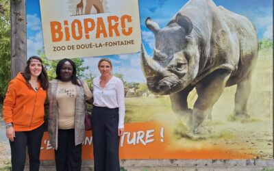 Au Bioparc de Doué-en-Anjou, une rencontre avec l’ambassadrice du Kenya